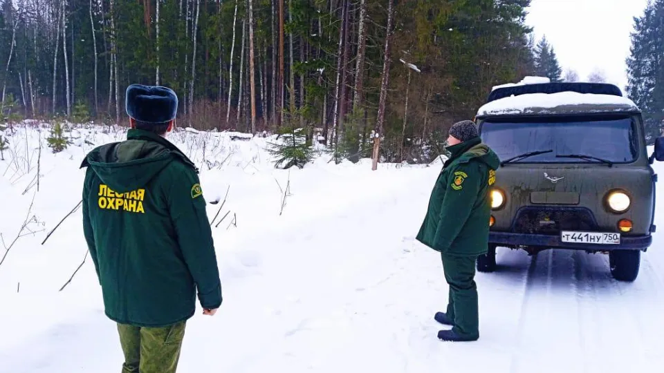 Фото: t.me/gkumol_zve