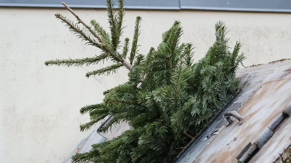 Фото: istockphoto.com