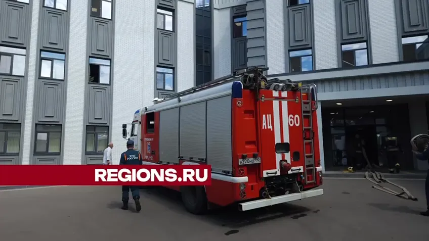 Фото: Светлана Борщева