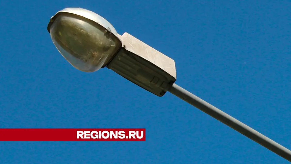 Фото: REGIONS/Василий Тремасов