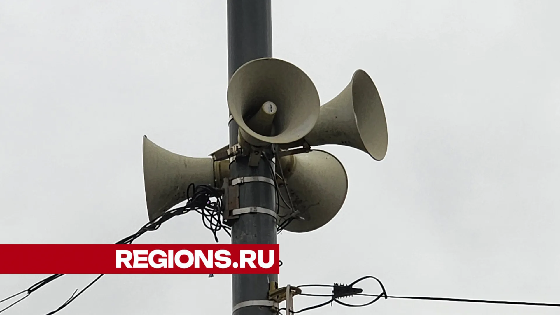 Фото: Дмитрий Павлов