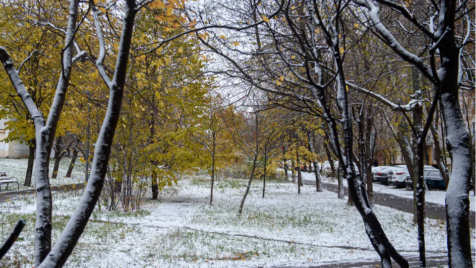 Фото: медиасток.рф