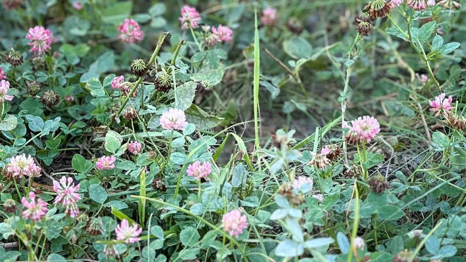 Фото: REGIONS/Евгения Макаренко