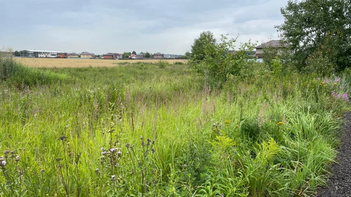 Комитет по конкурентной политике Московской области