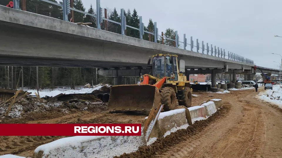 Фото: Артем Мишуков