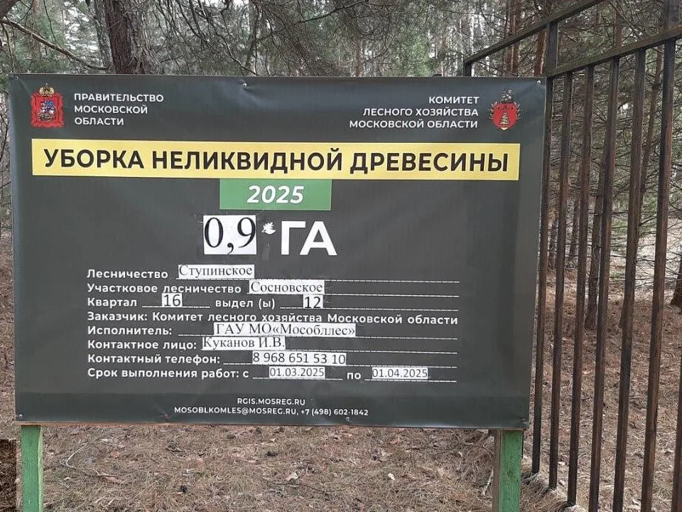 Фото: Комитет лесного хозяйства МО