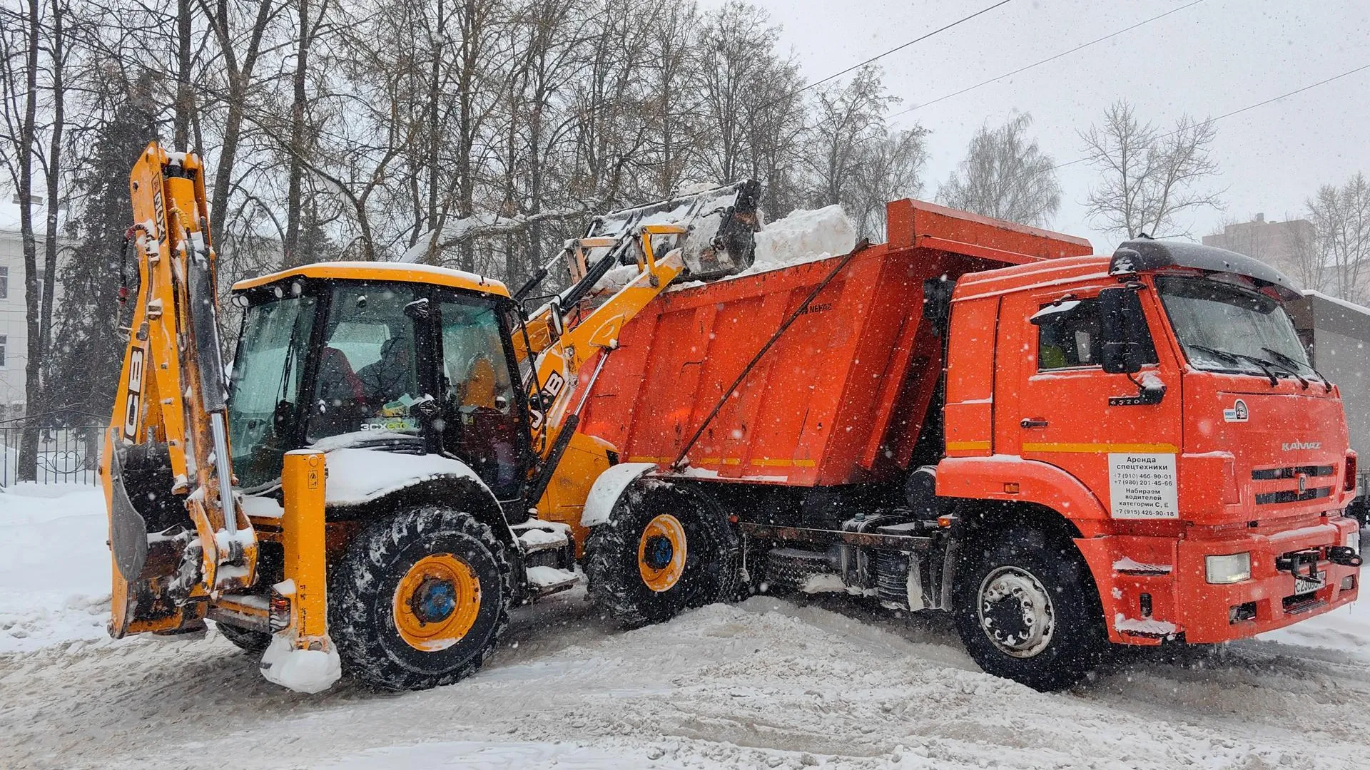 Елена Катасонова