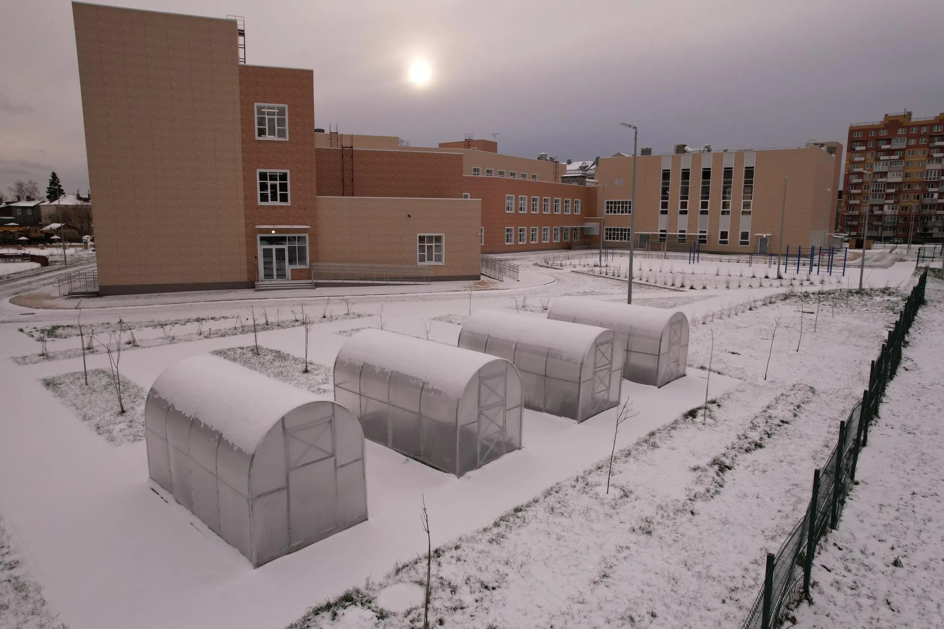 Ксения Борцова