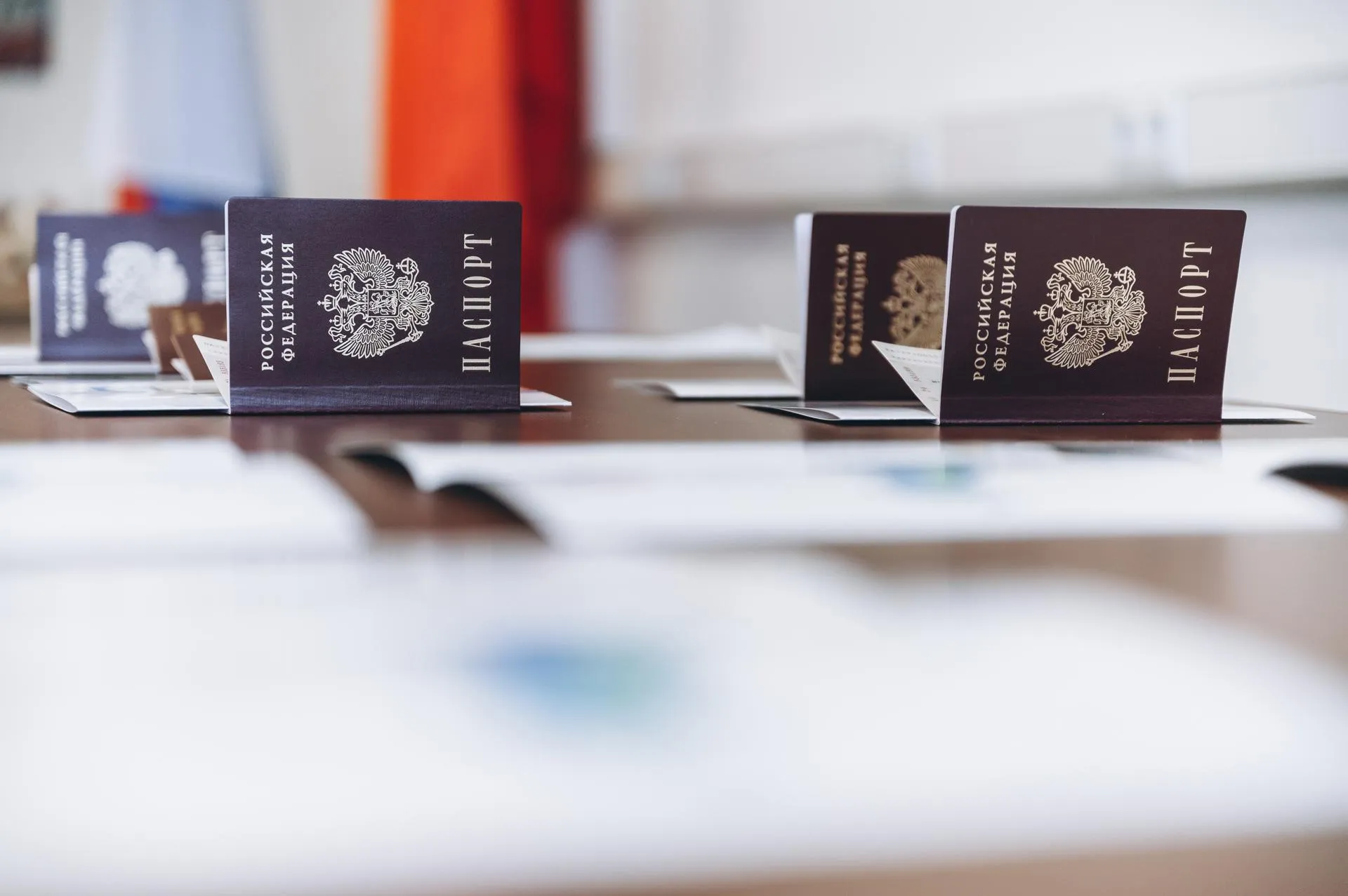 Фото: пресс-служба администрации г.о. Щелково