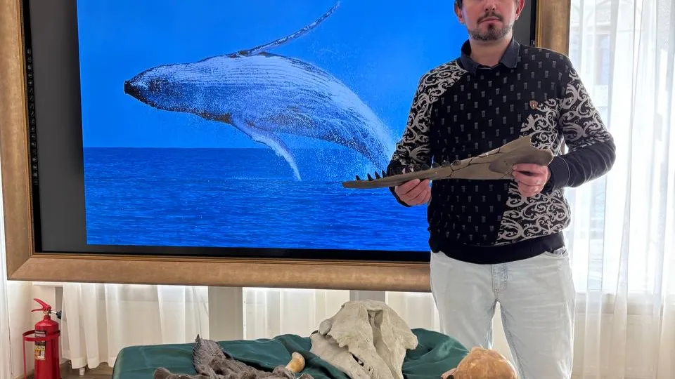 Фото: Краеведческий музей Коломны