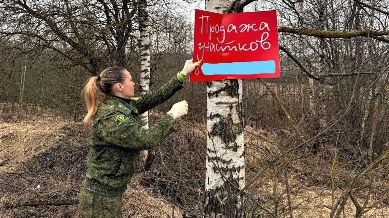 В лесах Подмосковья с начала 2025 года демонтировали более 1,2 тыс. незаконных рекламных табличек