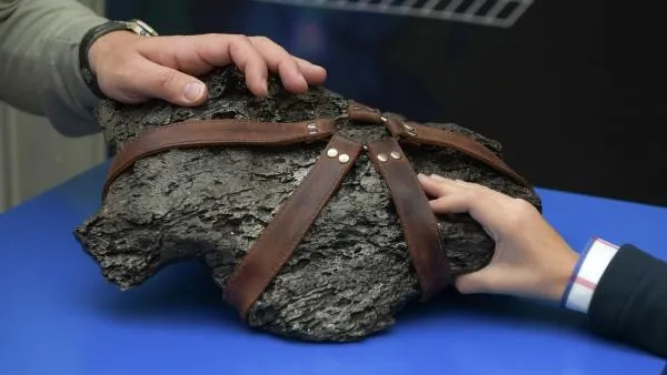 Ученые узнали, из чего состоит упавший в Канаде метеорит
