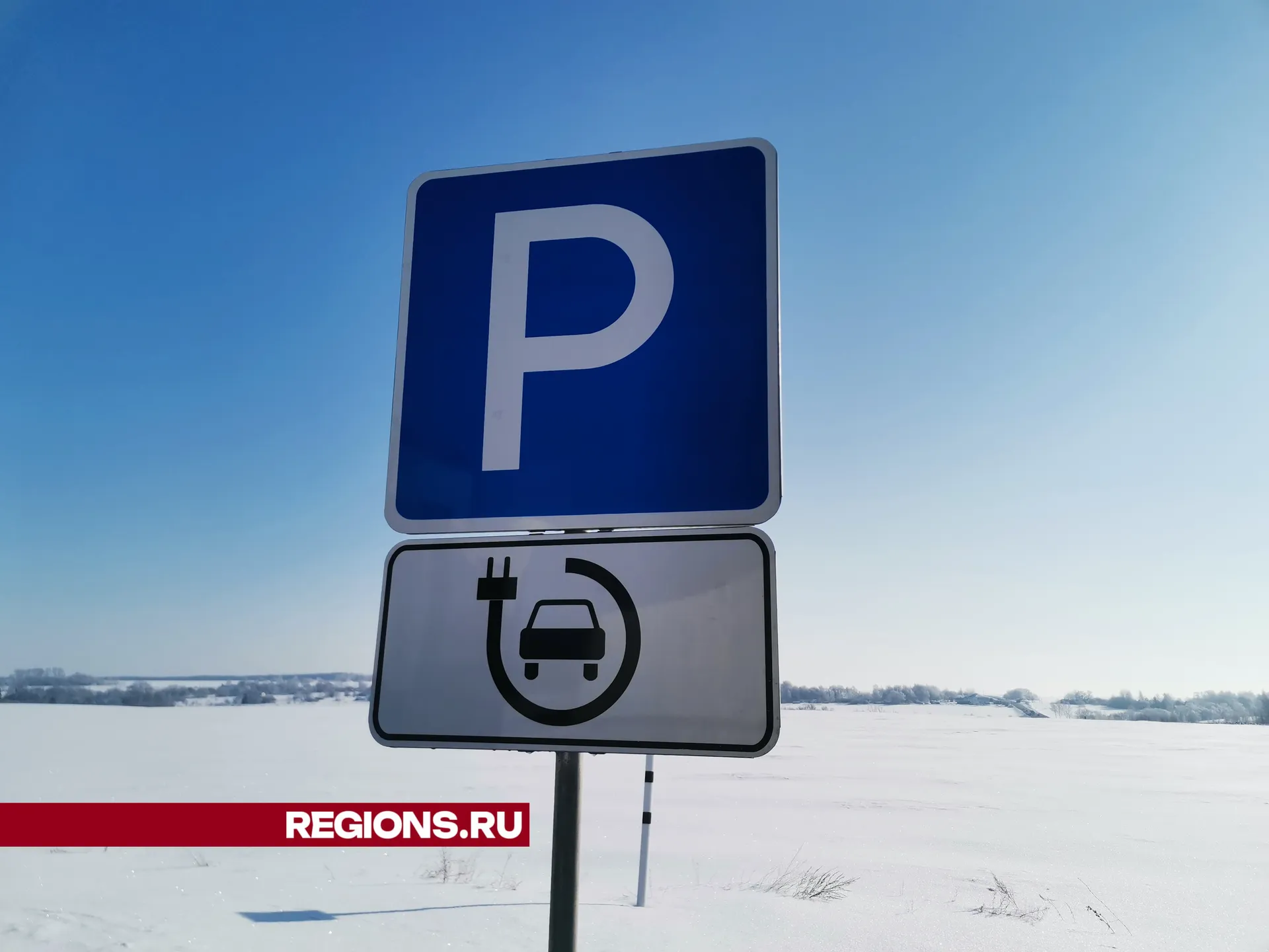 Дарья Кургузова