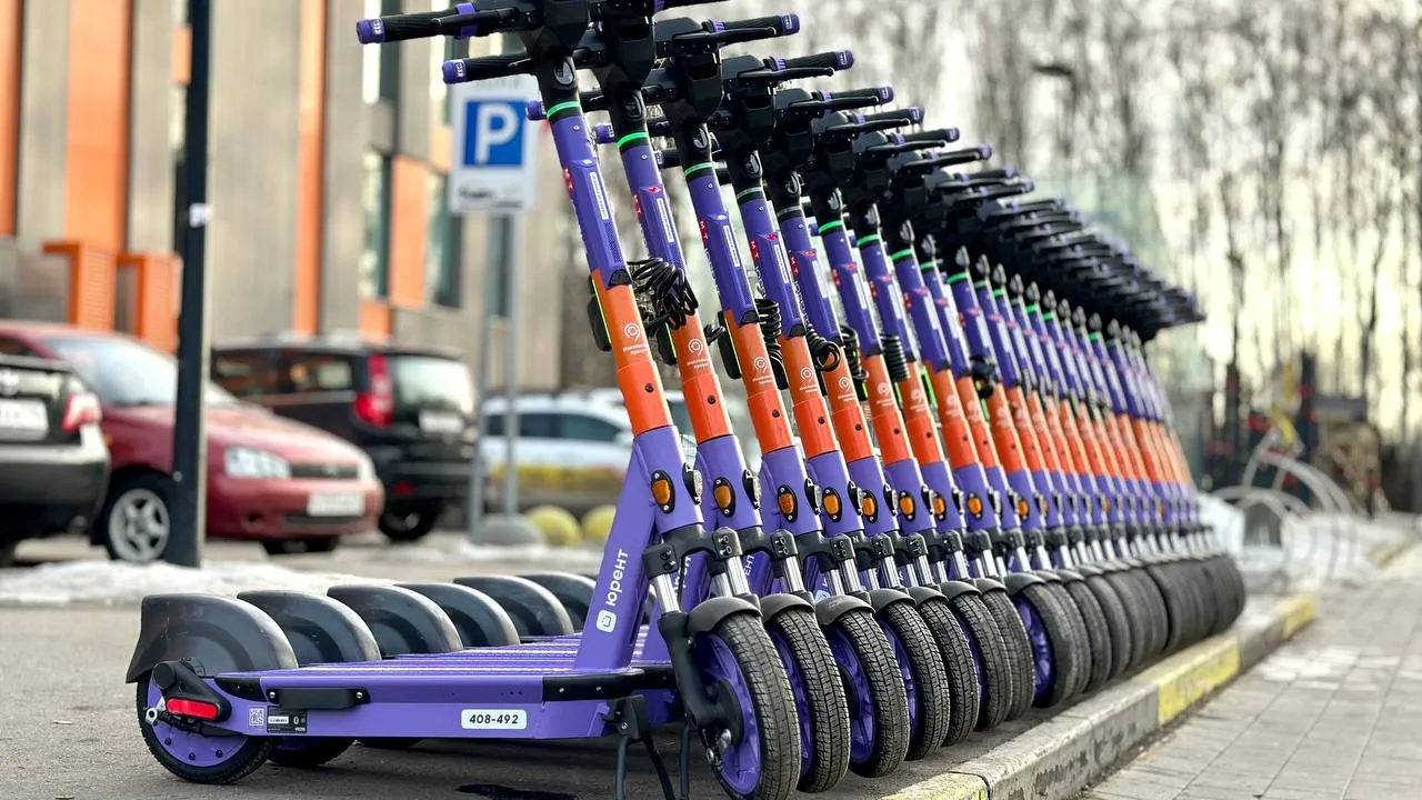 Фото: администрация г.о. Красногорск