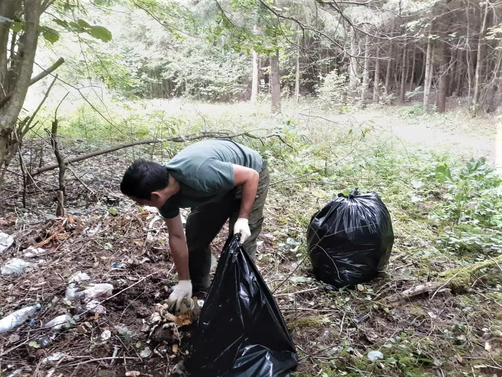 Фото: Комлесхоз