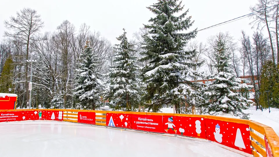 Фото: медиасток.рф