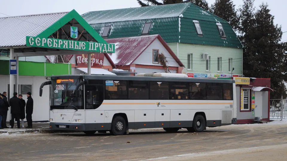Фото: REGIONS/Дарья Кургузова