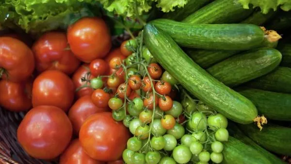 Фермерская ярмарка выходного дня открылась во Фрянове