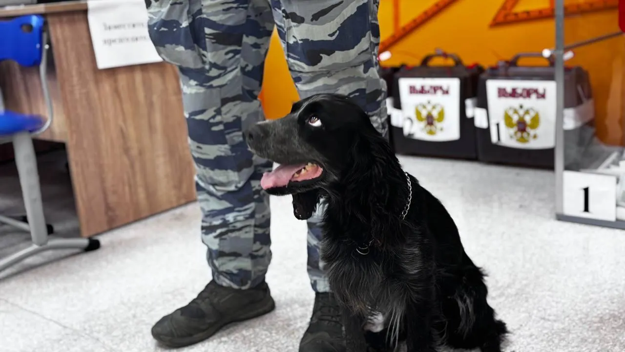 Фото: пресс-служба администрации г.о. Подольск