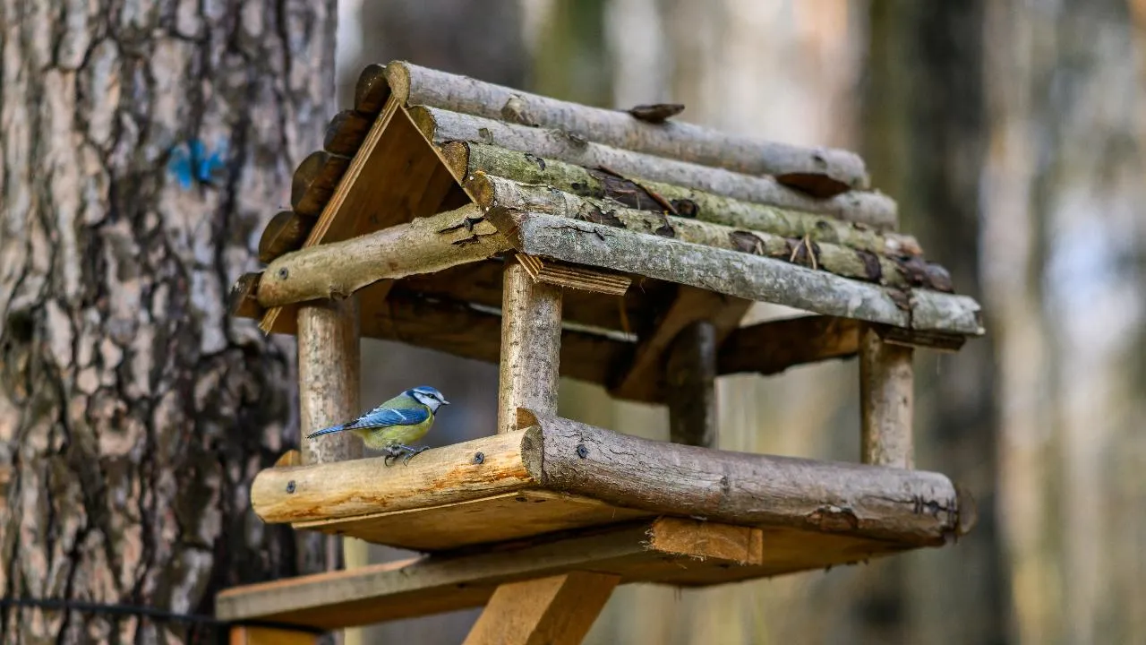 медиасток.рф