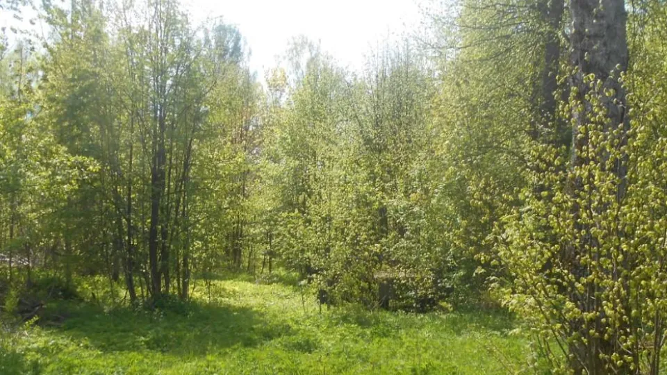 Фото: Комитет по конкурентной политике Московской области