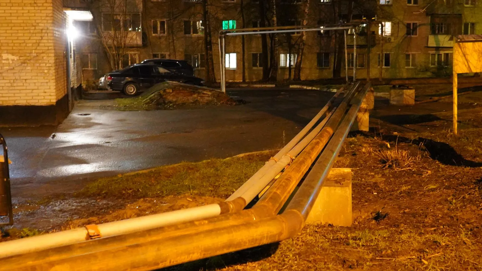 Фото: Медиабанк Подмосковья/Екатерина Елисеева