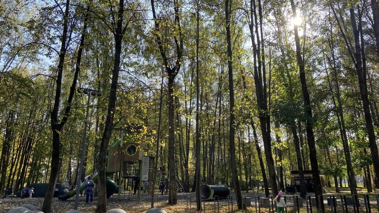 фото: Алена Мельникова