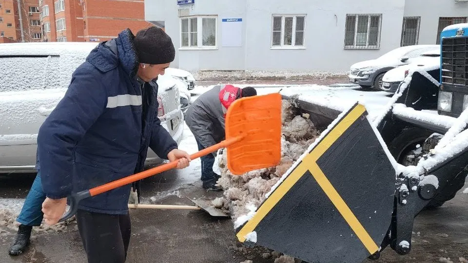 Фото: администрация г.о. Реутов