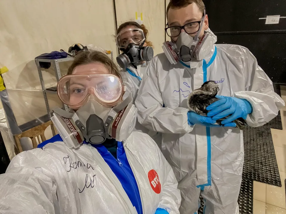 Фото:&nbsp;Владислав Пивоваров