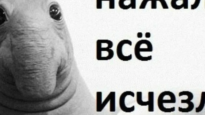 Типичный Воронеж / ВКонтакте