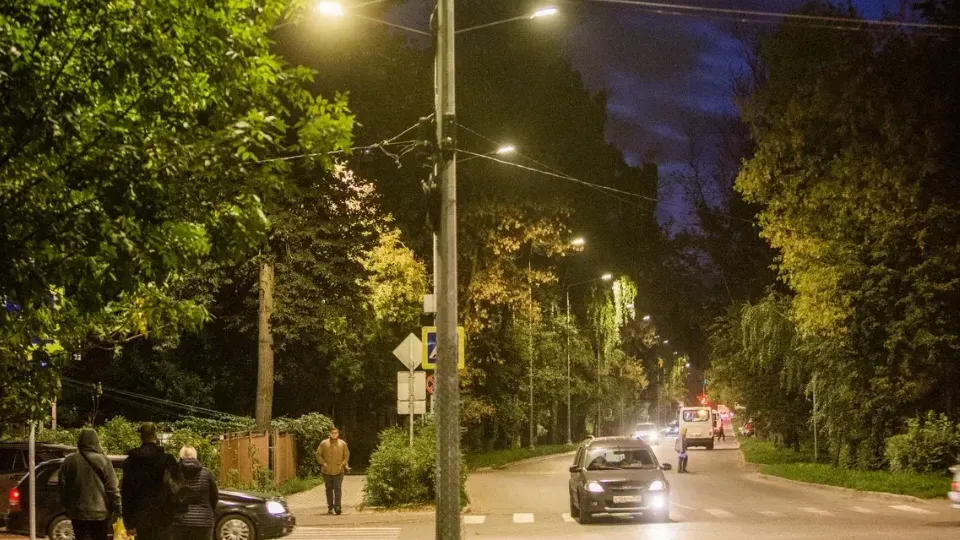 Фото: Министерство благоустройства Московской области