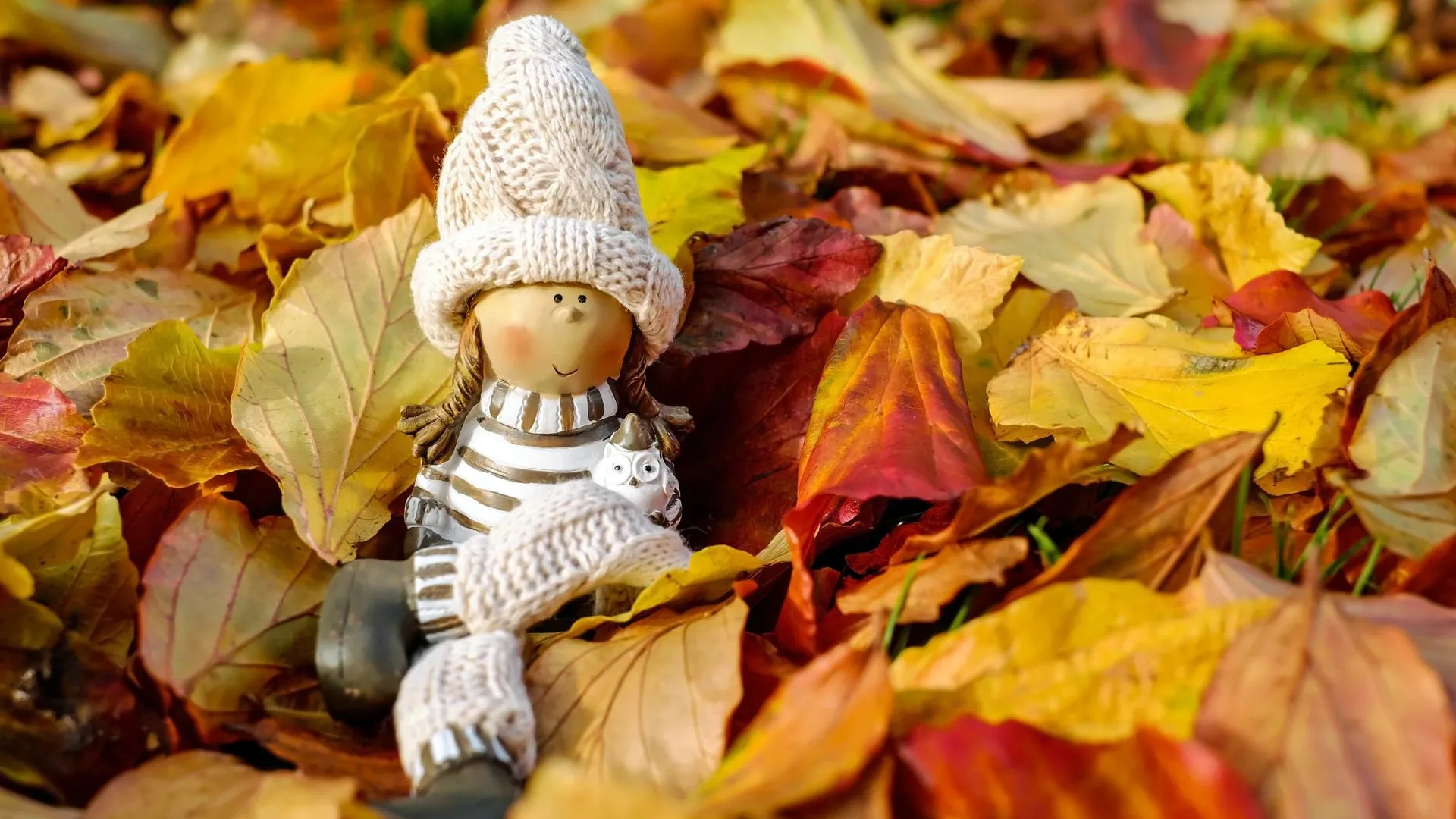 Фото: pxhere.com