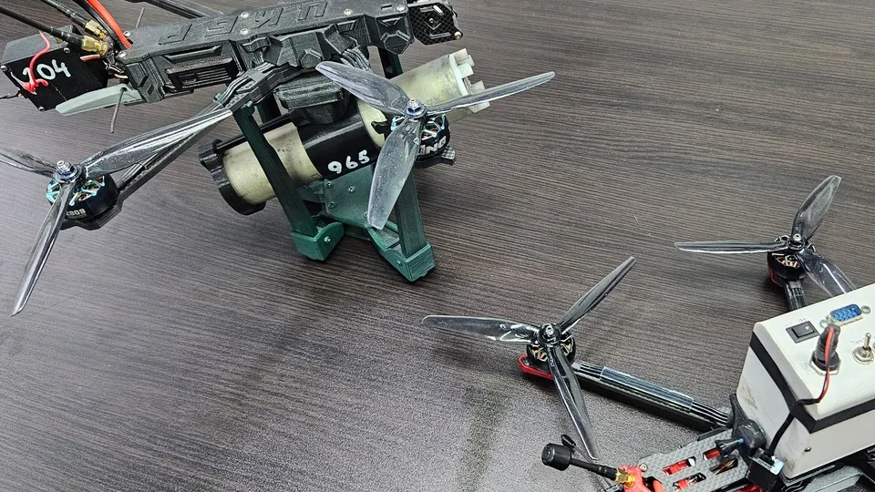 Фото: Ольга Вельшикаева