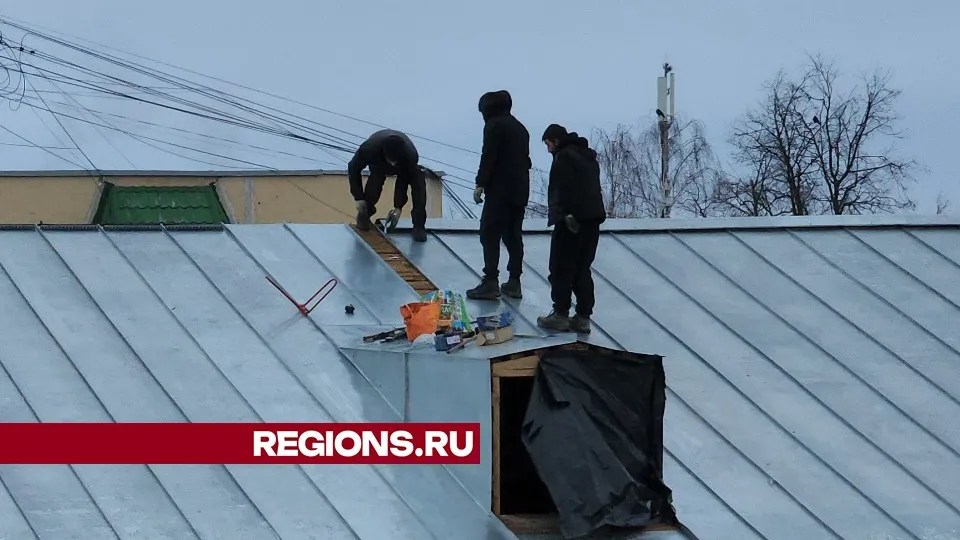 Фото: МедиаБанк Подмосковья/Гореловский Валерий