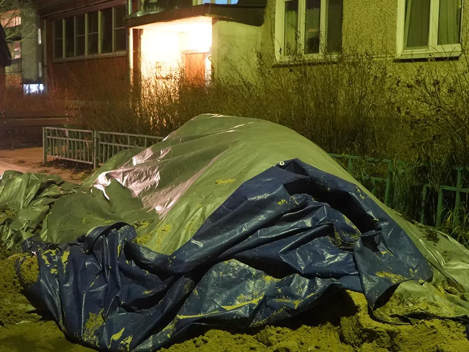 Фото: Медиабанк Подмосковья/Екатерина Елисеева