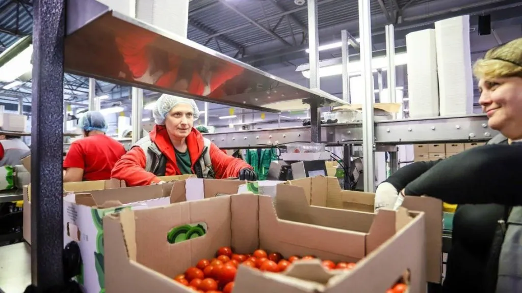 Фото: пресс-служба администрации г.о. Кашира