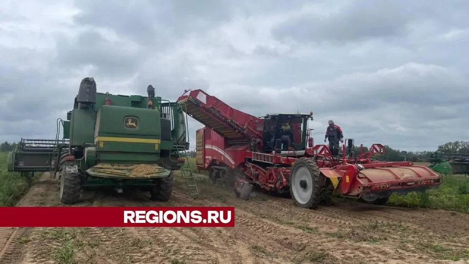 Фото: Евгений Рой