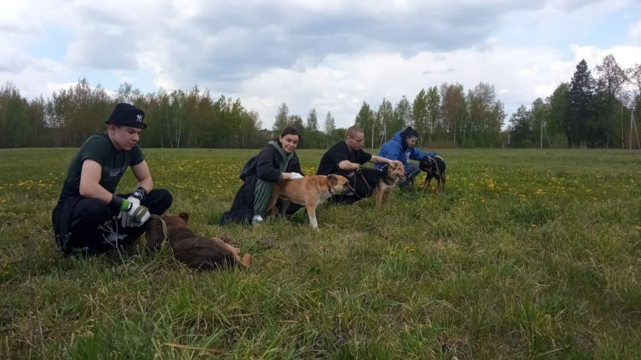 Пресс-служба администрации Павлово-Посадского городского округа