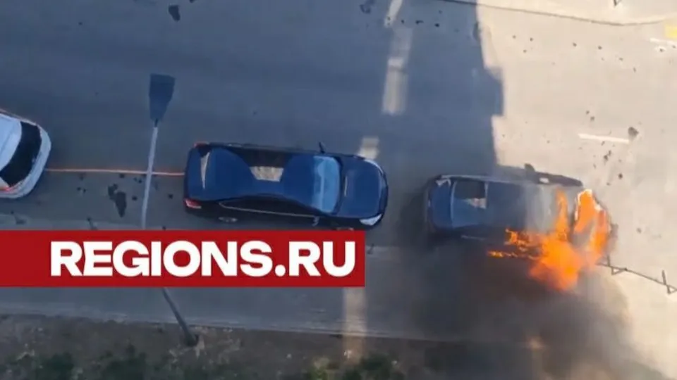 Фото: t.me/Prigorod_Lesnoe_LIVE