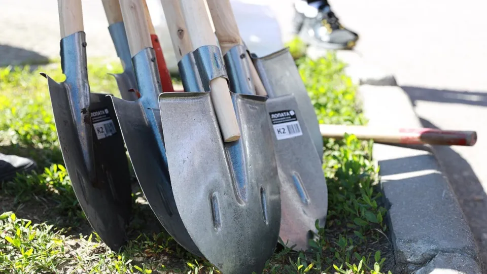 Фото: пресс-служба администрации г.о. Химки