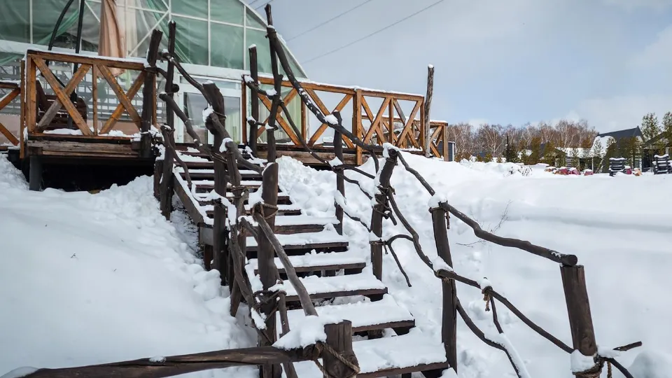 Фото: Ольга Антонова