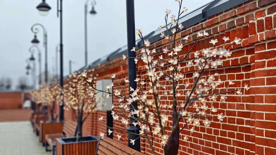 Фото: REGIONS/Алексей Селиверстов