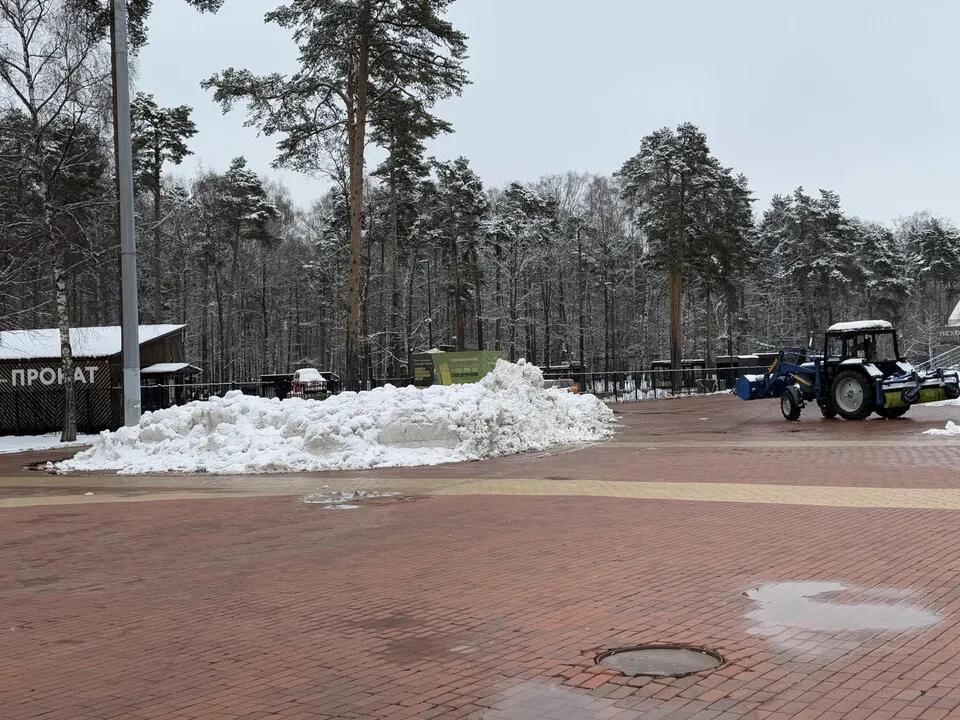 Фото: Виктория Фортуна