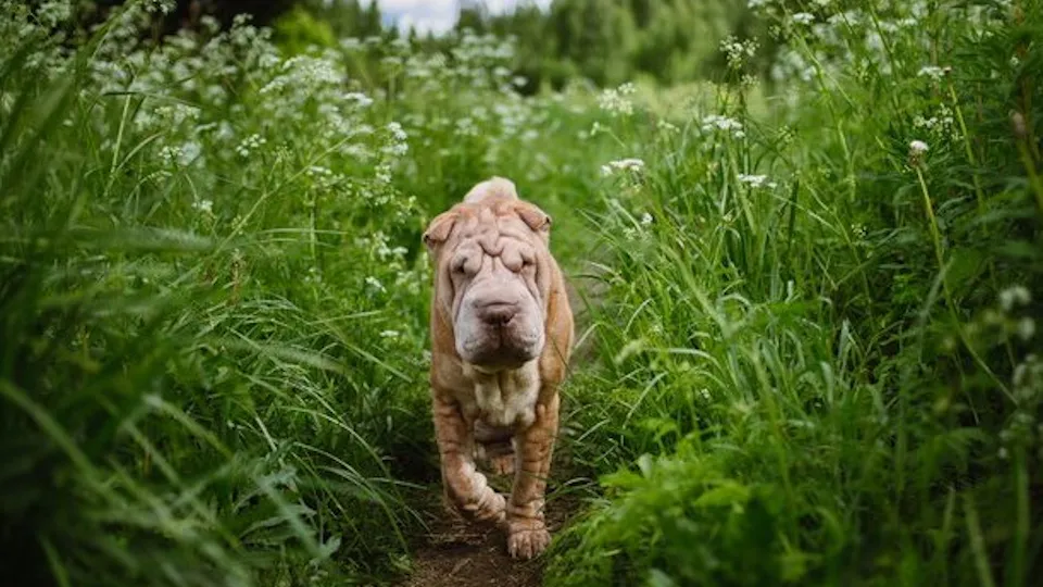 Фото: freepik.com