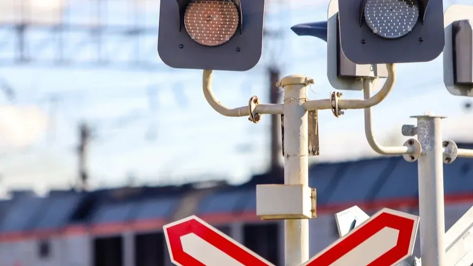 Фото: пресс-служба администрации г.о. Кашира