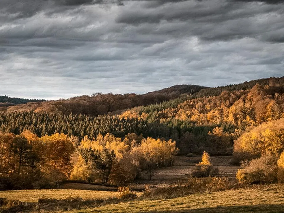 «Поблагодарите природу»: ясновидящая рассказала, как привлечь удачу в день осеннего равноденствия