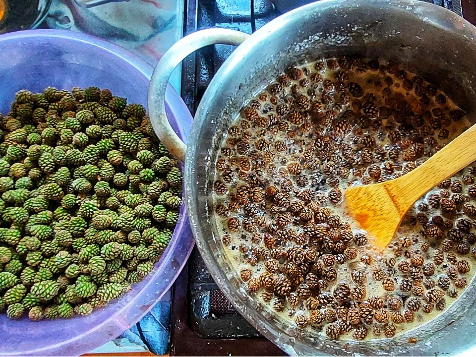 Фото: Василий Потапов