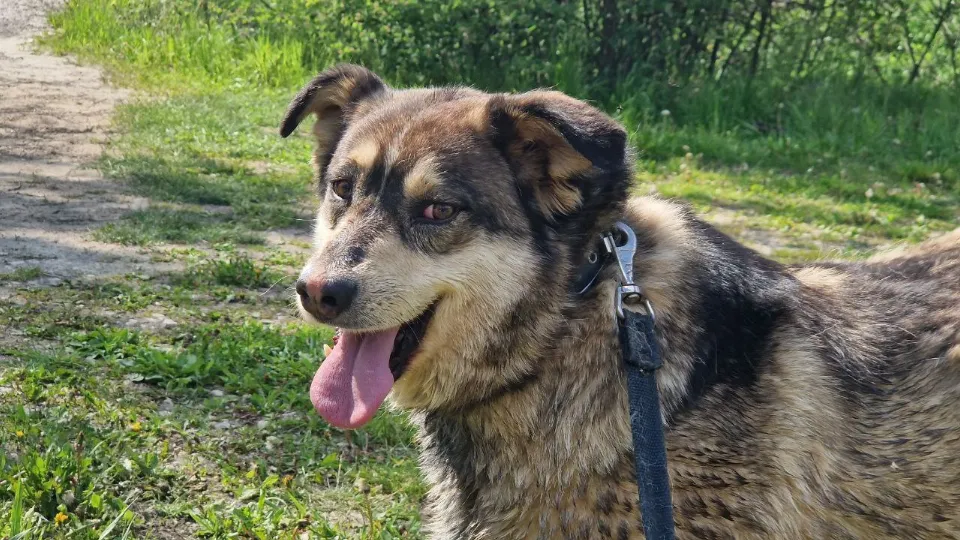 Фото: из личного архива Ольги Петелиной