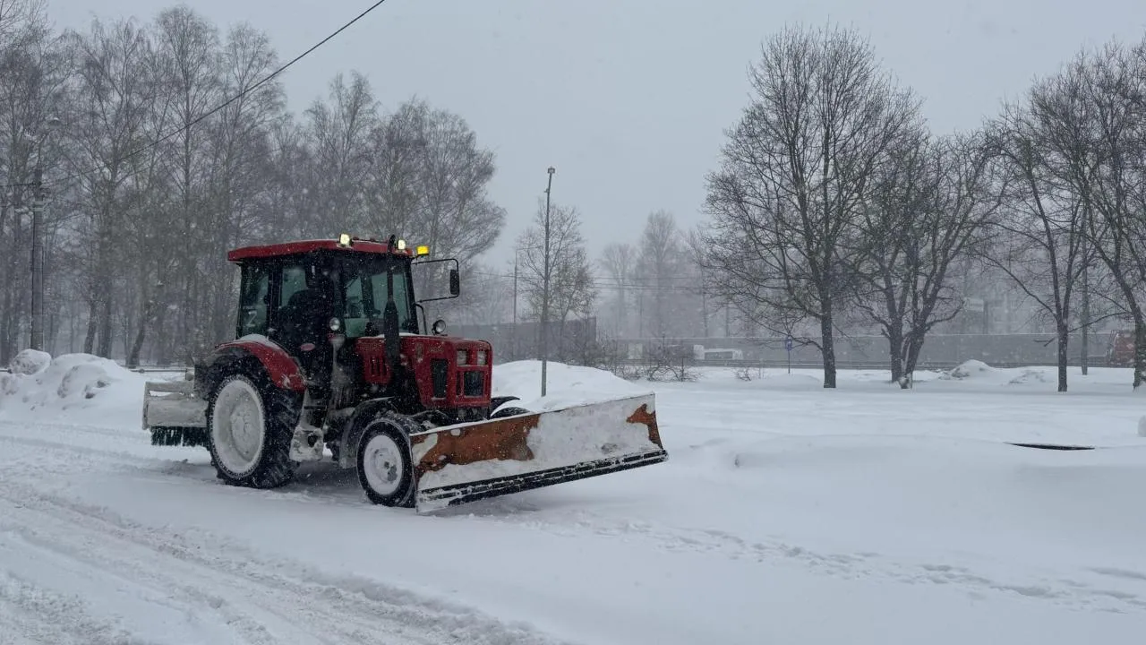 Виктория Фортуна