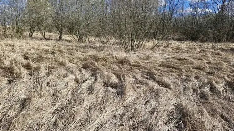 Фото: Единый портал торгов Московской области ЕАСУЗ